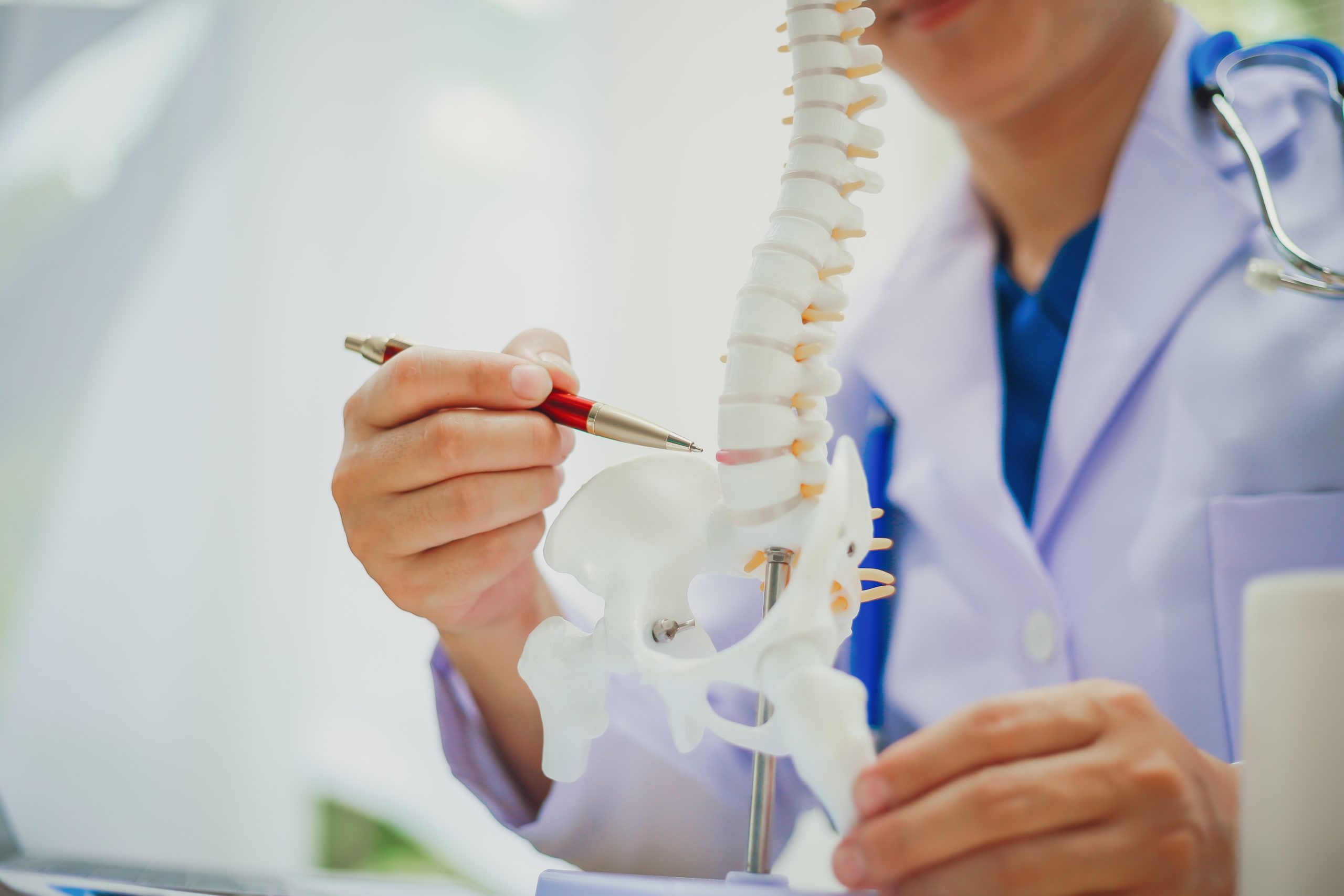 Orthopedist,And,Surgeon,Using,Model,Or,Anatomical,Model,Of,Spine